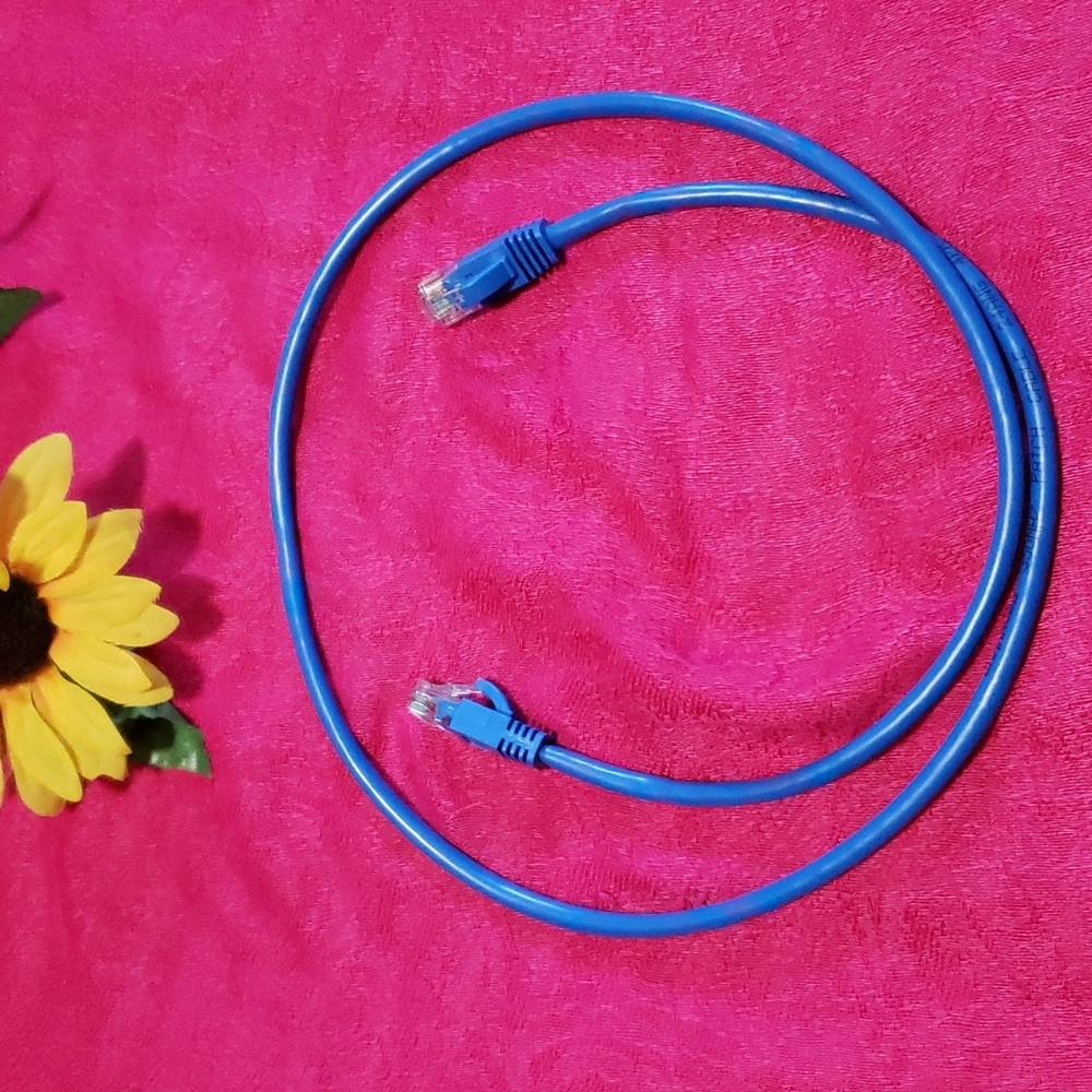 Cat 5e patch cord length 3 feet  "D"